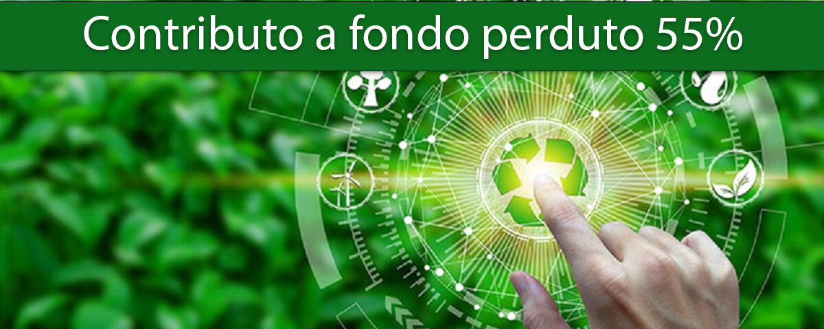 contributo-55-circolare