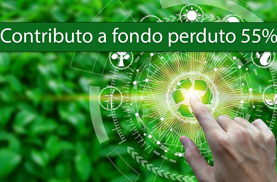 contributo-55-circolare